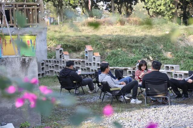 格桑花、紫花风铃木、雪白油茶花……肇庆这里太美了！