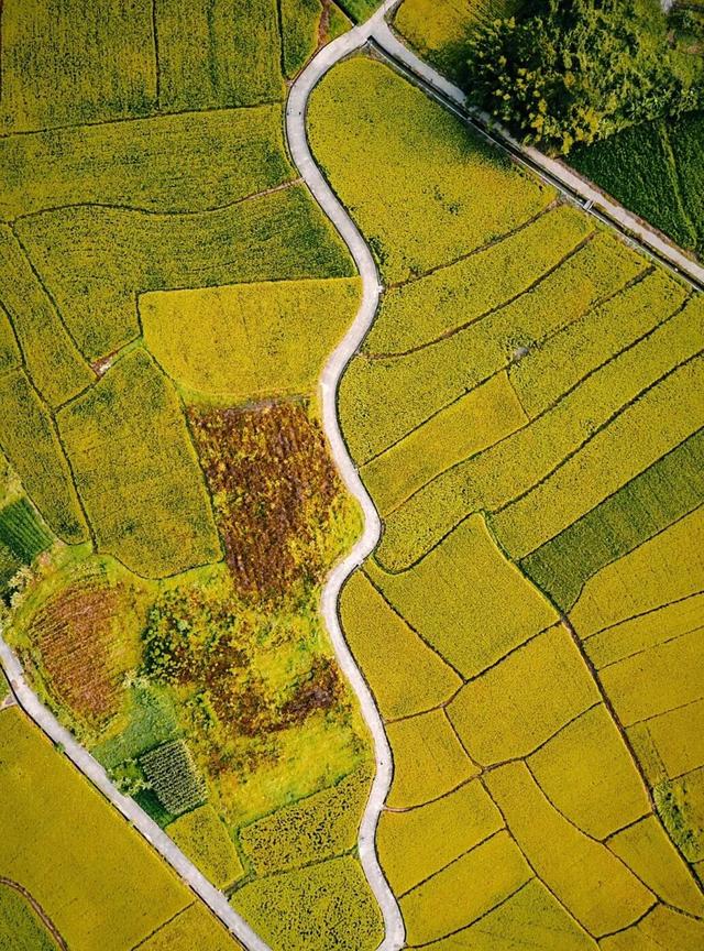 拿好这份初秋“寻色地图”，骑行解锁韶关的限定美景