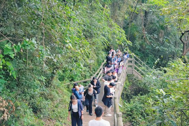金秋周末乐游九皇山：数千游客徒步打卡赢奖牌，萨朗狂欢嗨翻天