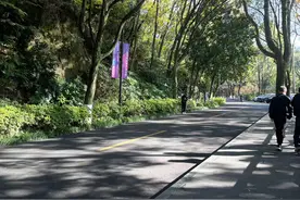 冬季去哪登高望远？温州景山公园推出120分钟休闲线路图片