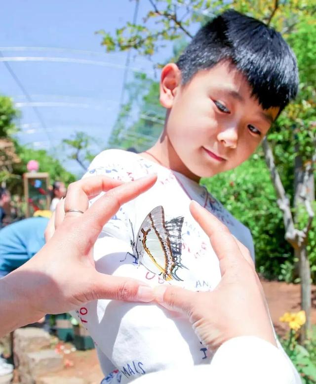 放春假・上春山 | 临沂景区宠粉「第四波」中小学生专享超多福利