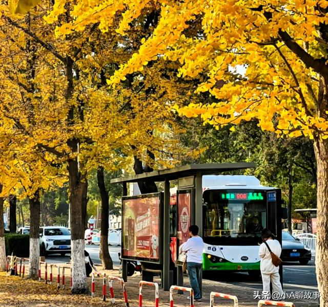 我连续两个冬天都去了青岛，得出一个观点，可能我一辈子不会变～