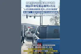 皮卡拉柴油被罚后续：镇政府出面，加油站和村委会作证，细节曝光图片