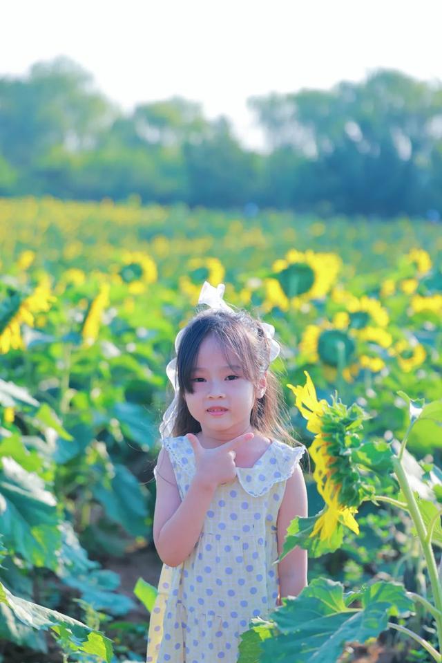 快看花开了！惊艳震撼！这么一大片！就在日照这里！