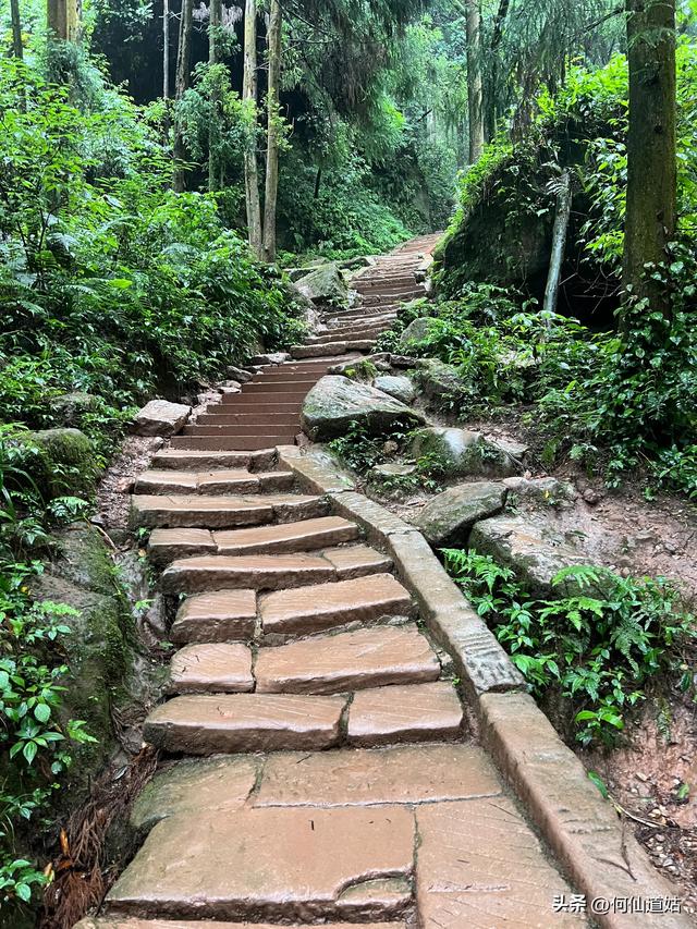 青城山，来过了，说几句