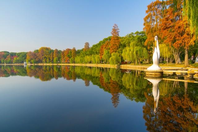 惊人发现两性关系中，60岁与异性靠近，根本不是桃花运，而是这个