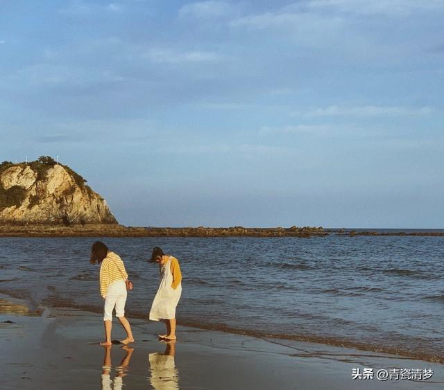 夏风终散，岁岁花期再难逢