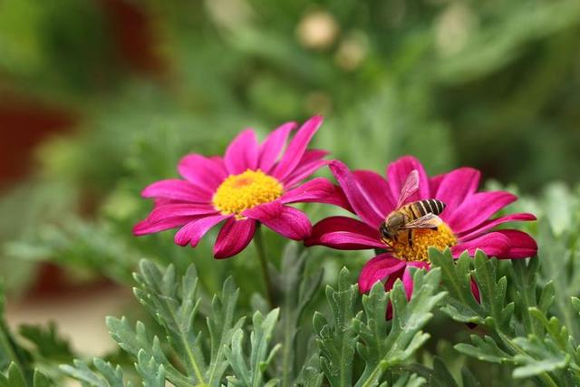 情感爆文：《懂得珍惜，才配拥有，只有在乎，才能永久》