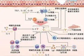 重度哮喘诊断与处理中国专家共识（2024）图片