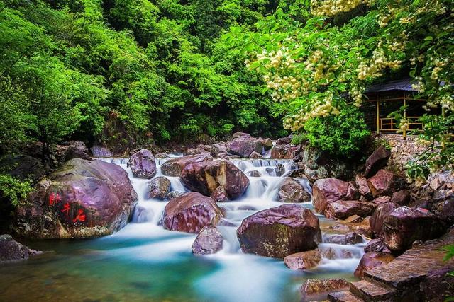 一路都是风景！临安这样玩，松弛感拉满→