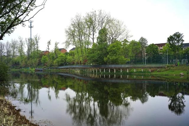 富阳这里太美了！不少人前来骑行、踏青野餐
