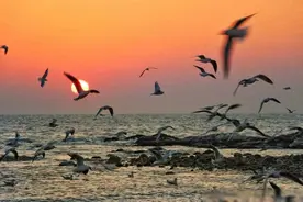 有家室的人，和异性朋友发生关系后，结局只有3种图片