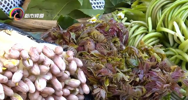 我不信你不心动！蓝花楹、泥石流赛车、华晨宇演唱会→这个五一假期昆明“玩场”太多了！