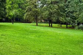 昆明又一公园爆火，遛娃露营天花板，免费治愈系绿洲，速来打卡！图片