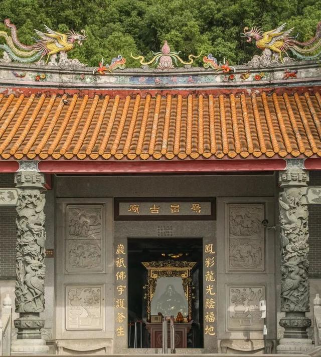 假期来宝安，读书、观海、“上雪山”!