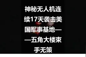 神秘无人机连续17天袭击美国军事基地——五角大楼束手无策图片