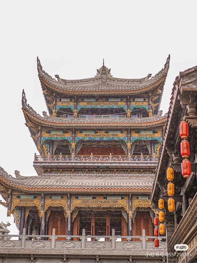 比大理浪漫！比昆明更近！高铁直达阳光小城，2万株蓝花楹美疯！观海登山，美食吃到爽！