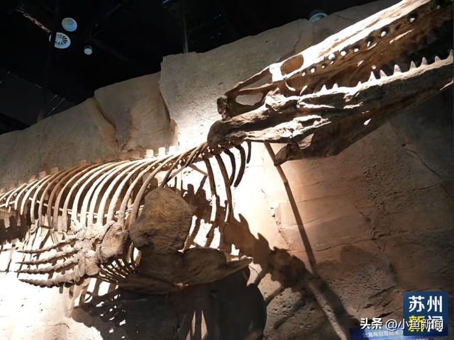 首次公开！苏州新地标，即将开启压力测试...