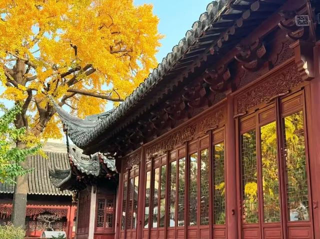 秋色限定!沪上园林已达颜值巅峰→