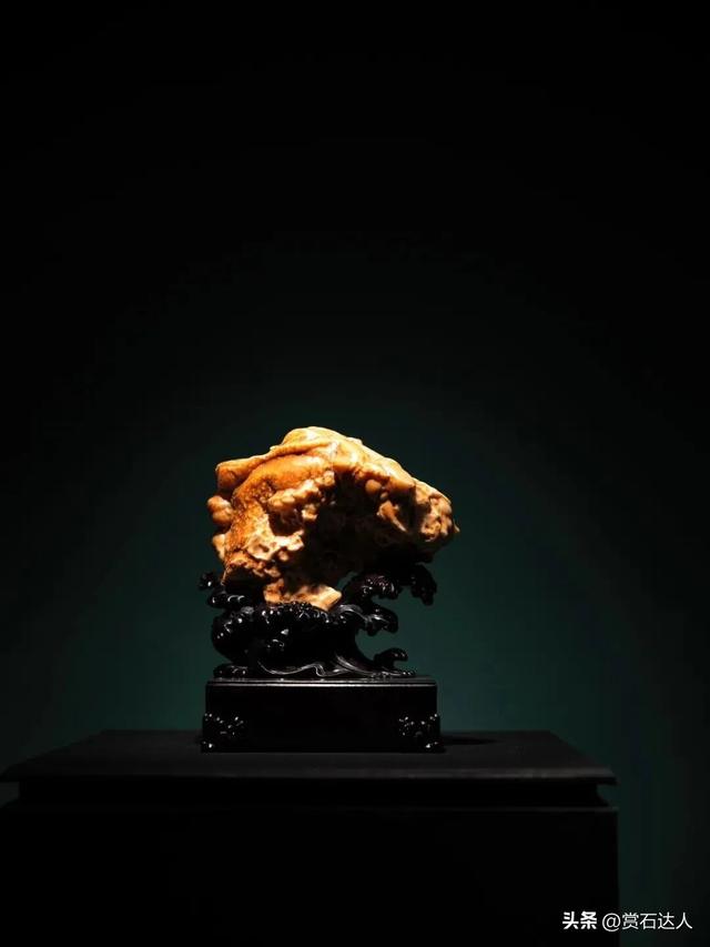 2026春季阿拉善玉·观赏石文化旅游活动盛大启幕，精品奇石欣赏