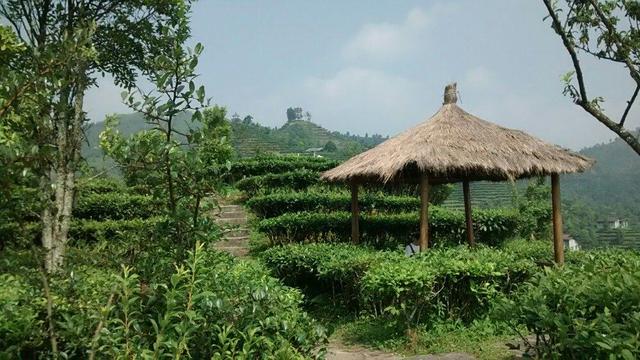 报名倒计时两天！抓紧报名，共赴浩坤湖骑行之约！