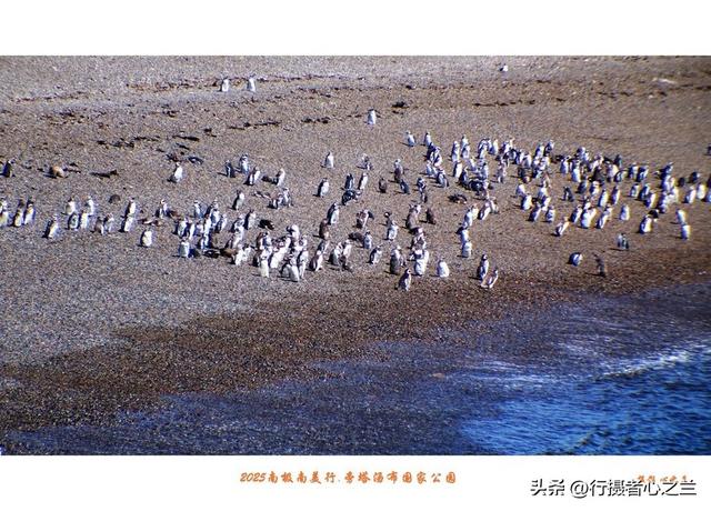南极南美三国行游影记（79）—阿根廷旁塔汤布国家公园（六）