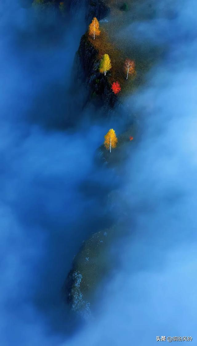 晨雾如纱，轻轻缠绕着远山近林