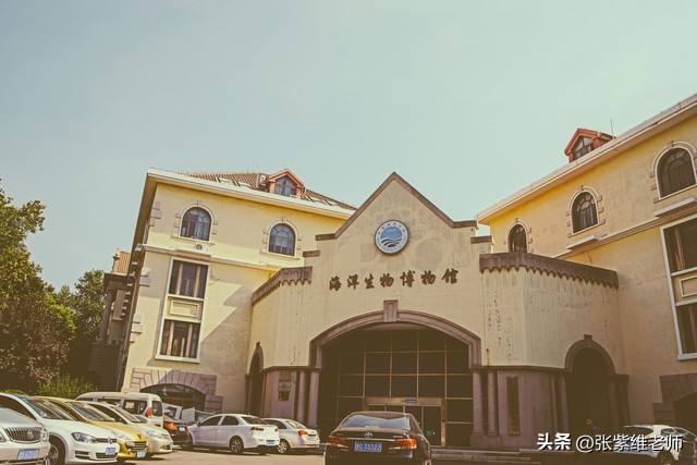 中國(guó)海洋大學(xué)優(yōu)勢(shì)專業(yè)_中國(guó)海洋大學(xué)專業(yè)排名_中國(guó)海洋大學(xué)985高校