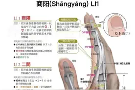 揭秘中医穴位之谜：10张高清解剖图谱带你探索人体奥秘图片