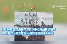 国足4比1新加坡，一男子闯入球场欲与武磊庆祝进球图片
