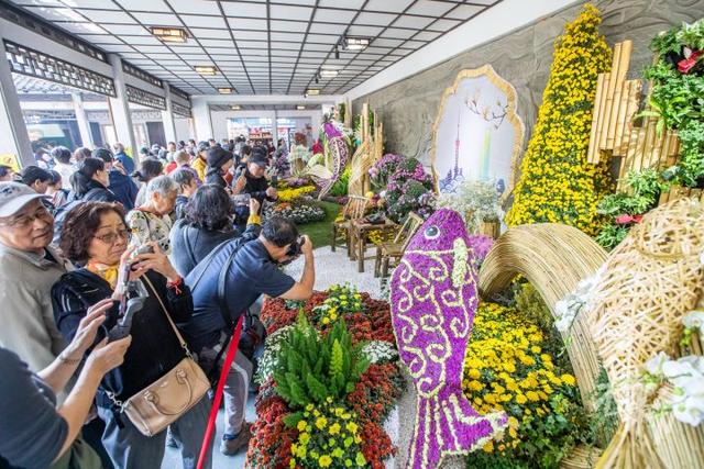 全是人人人人人！一年一度杭州“顶流”人气菊花展登场