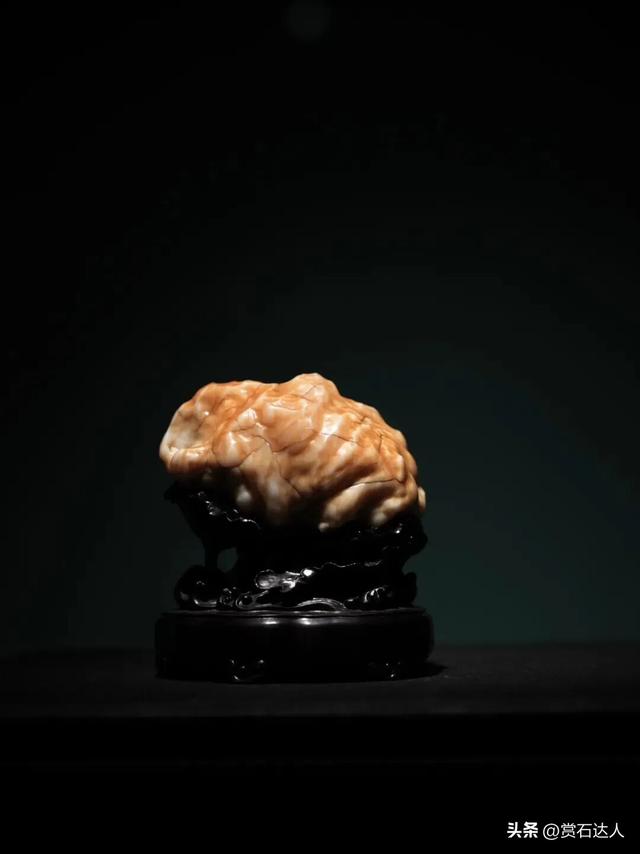 2026春季阿拉善玉·观赏石文化旅游活动盛大启幕，精品奇石欣赏