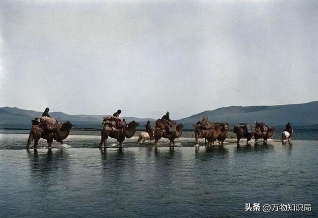 美国博物馆发现罕见照片！120年前的蒙古人，居然是这样子！