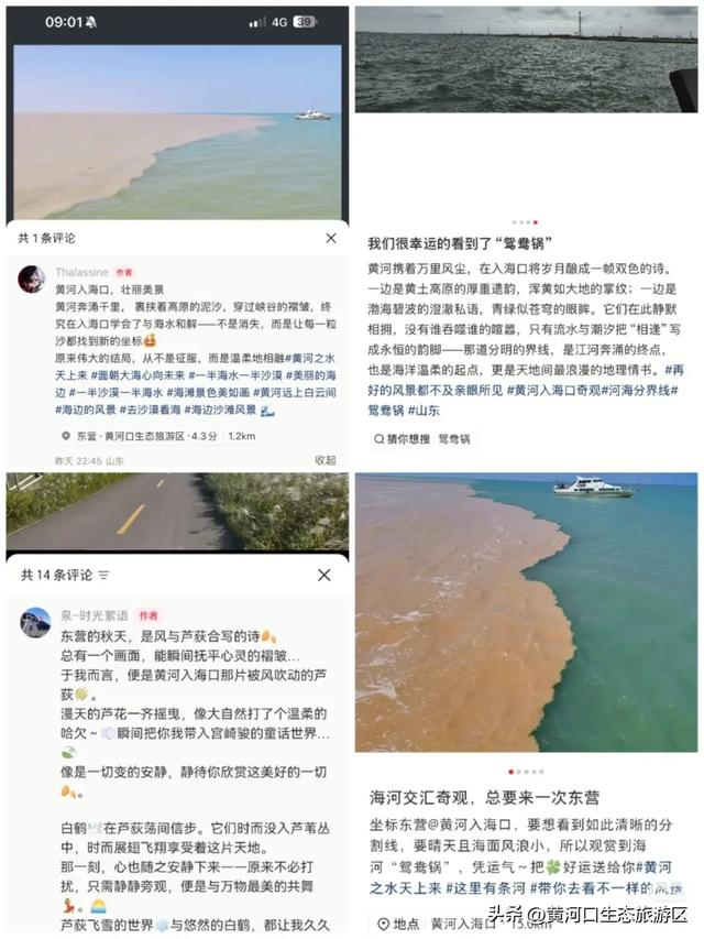 【情满双节游东营】​黄河口生态旅游区 国庆精彩瞬间 美好永不散场