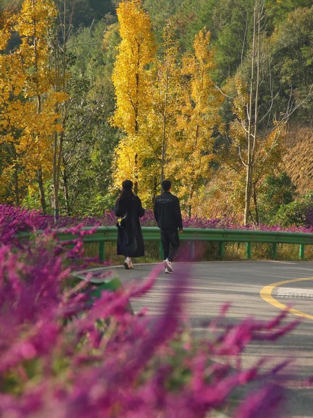 来广元月坝，解锁一场“多巴胺”初冬