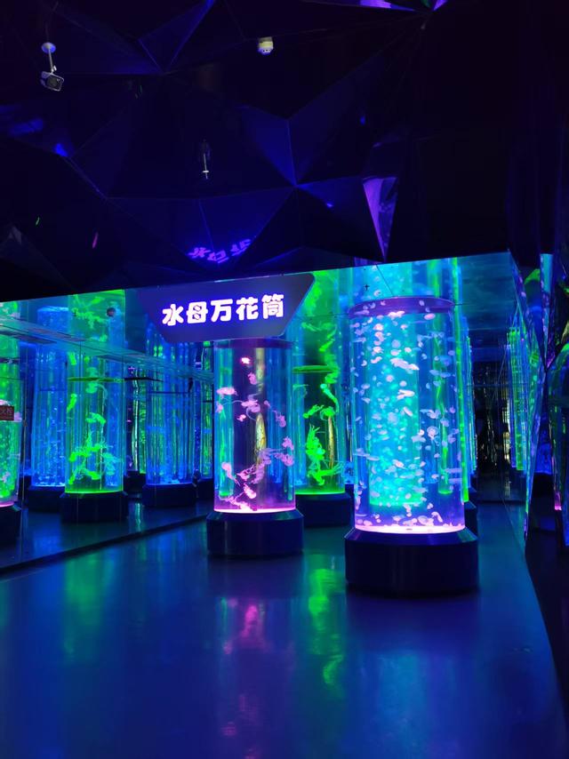 成都 极地海洋公园（58）2025年10月16日