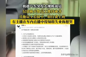 打工人天塌了！极越汽车女主播直播到一半，得知公司倒闭崩溃了图片