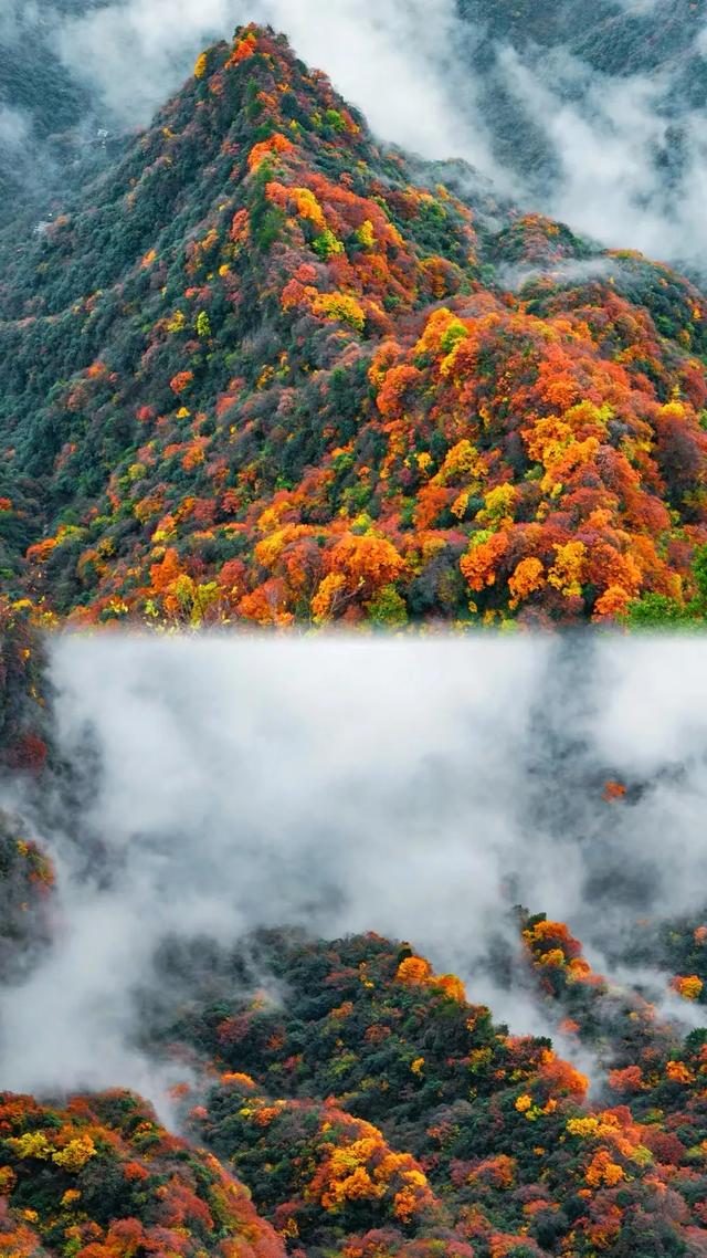为什么说龙头山，是最不能错过的宝藏赏秋地？