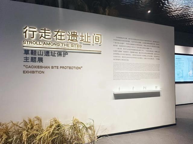 昆山兵希惊现考古重地,想起10年前无人问津的草鞋山