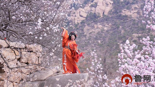 从“赏花游”到“春日经济” 日照的春天“一路生花”