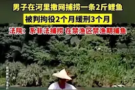 1条鲤鱼“价值”2个月拘役？三问男子捕鱼判刑案！情节显著轻微吗图片