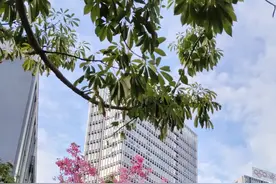 真正的爱国舆论场，绝不能被无知、愚弱、反智的“爱国贼”挟裹图片