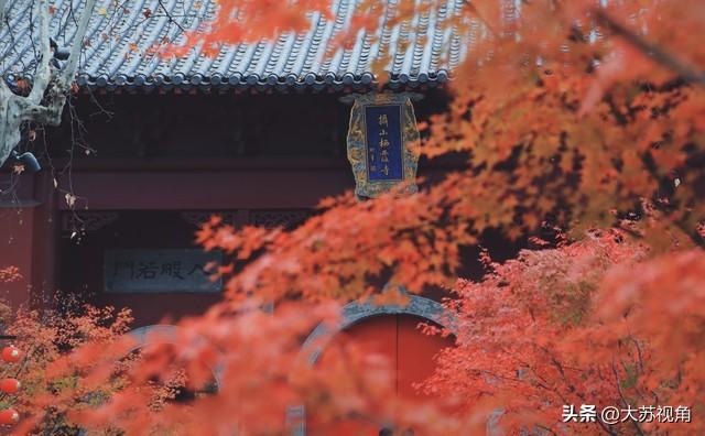 南京的浓颜是枫叶林给的！18个机位+时间点，避开人潮拍出大片