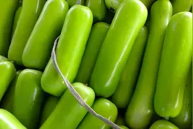 瓠瓜怎么读？瓠瓜的读音和意思！图片