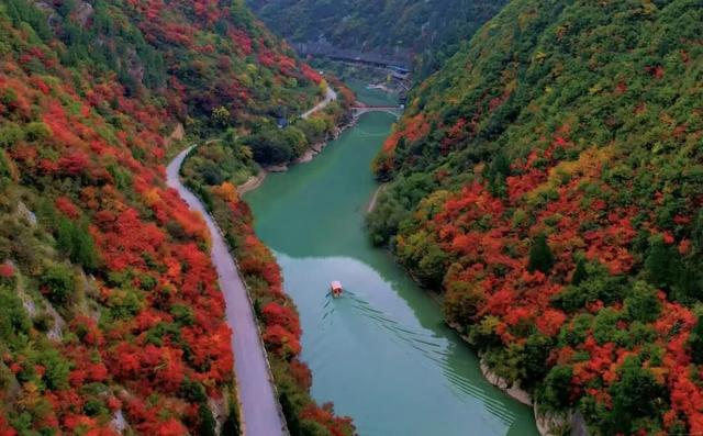 秋日限定 | 两当：把秦岭秋韵装进红叶里