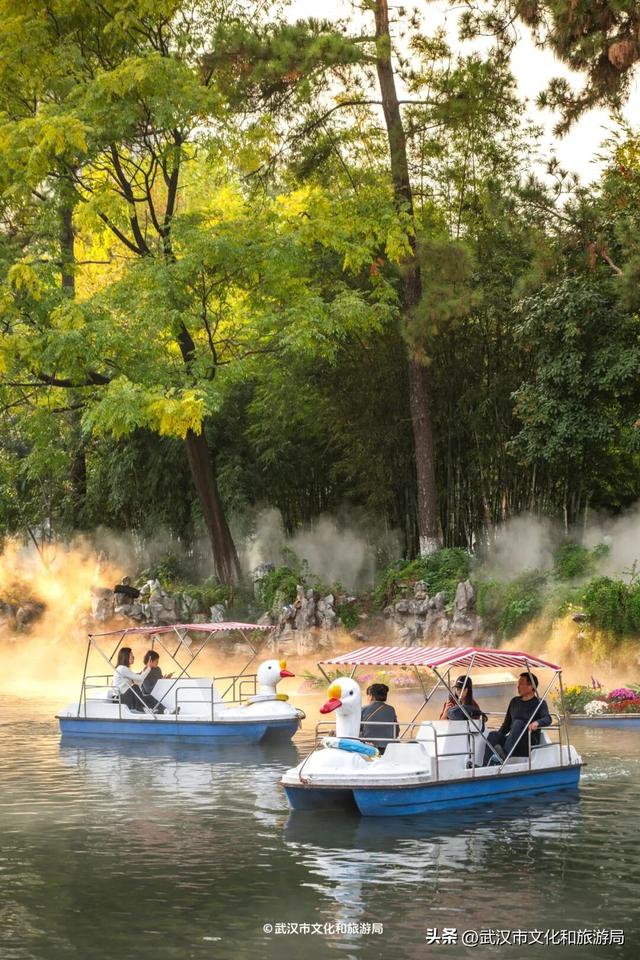 武汉今秋最大花展，限时一个月，免费！