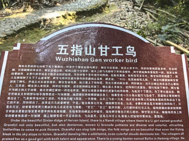 海南之行（之三）