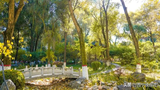 西宁发布八条秋季精品旅游线路