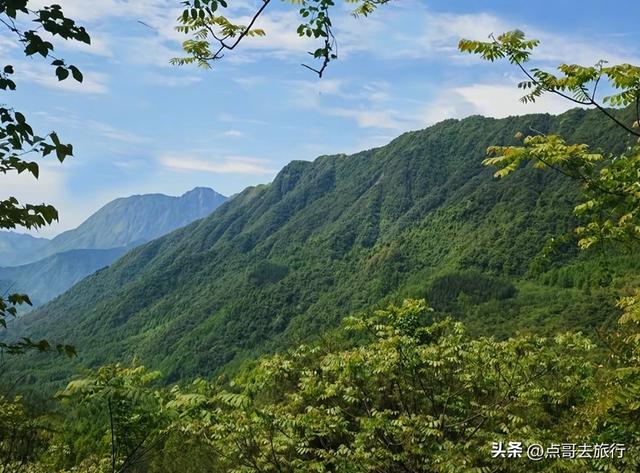 成都崇州徒步首选，被低估的森林路线，全部免费，风景超级惊艳！