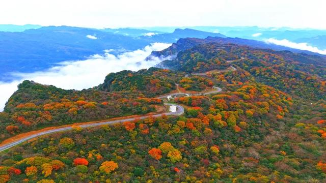 昨日实拍！层林尽染盐井峡，漫山红叶醉秋风，观赏正当时